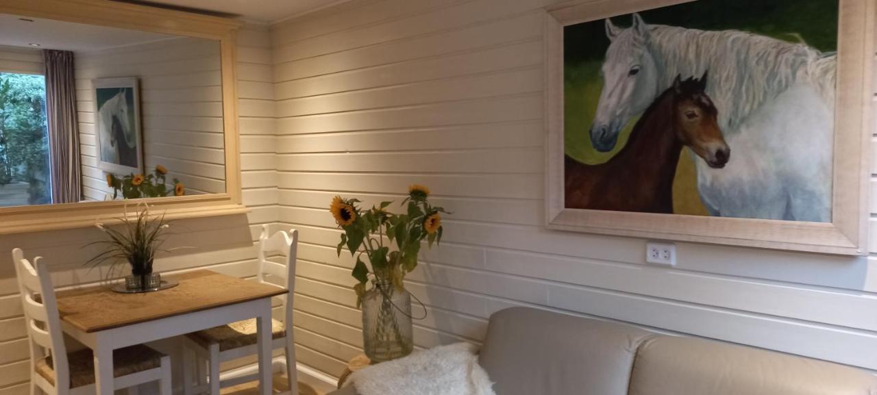 Chalet Le Papillon Zandvoort Exteriör bild